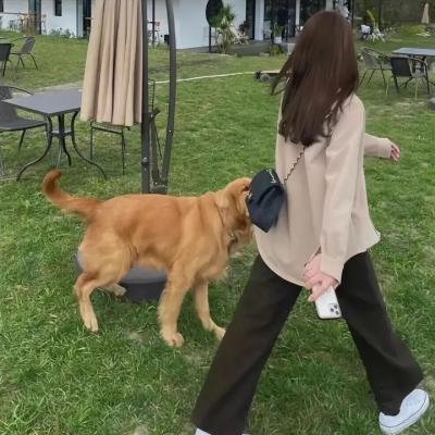 鬼娃杀阵2